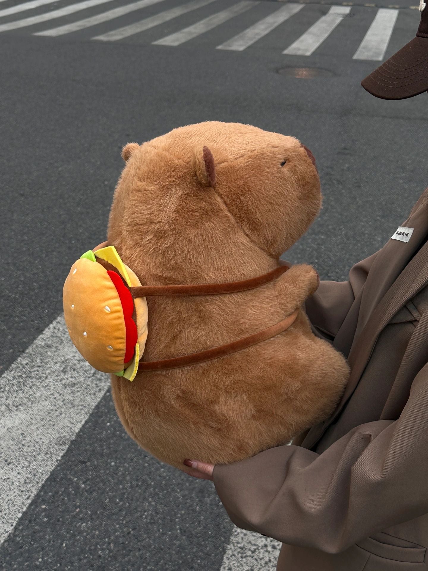 Capybara and burger bag🍔