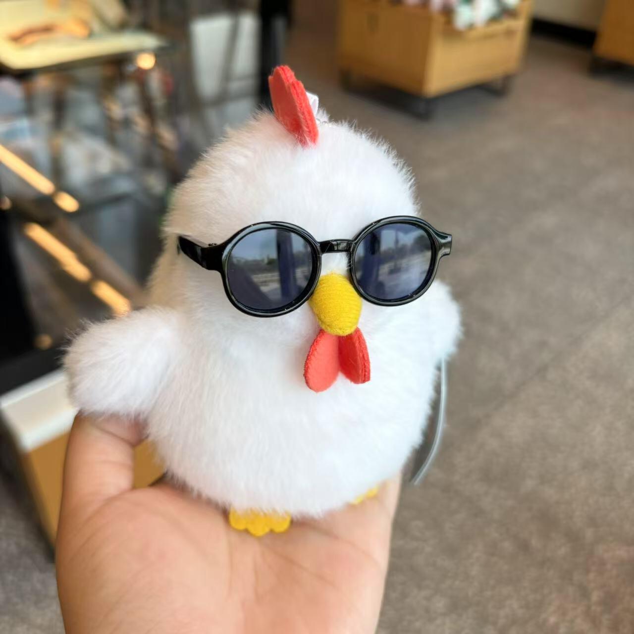 Chicken with glasses🐓🪹😎