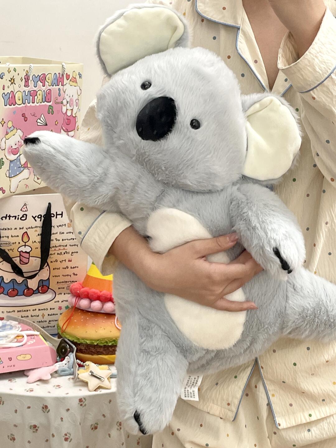 Koala π¨
