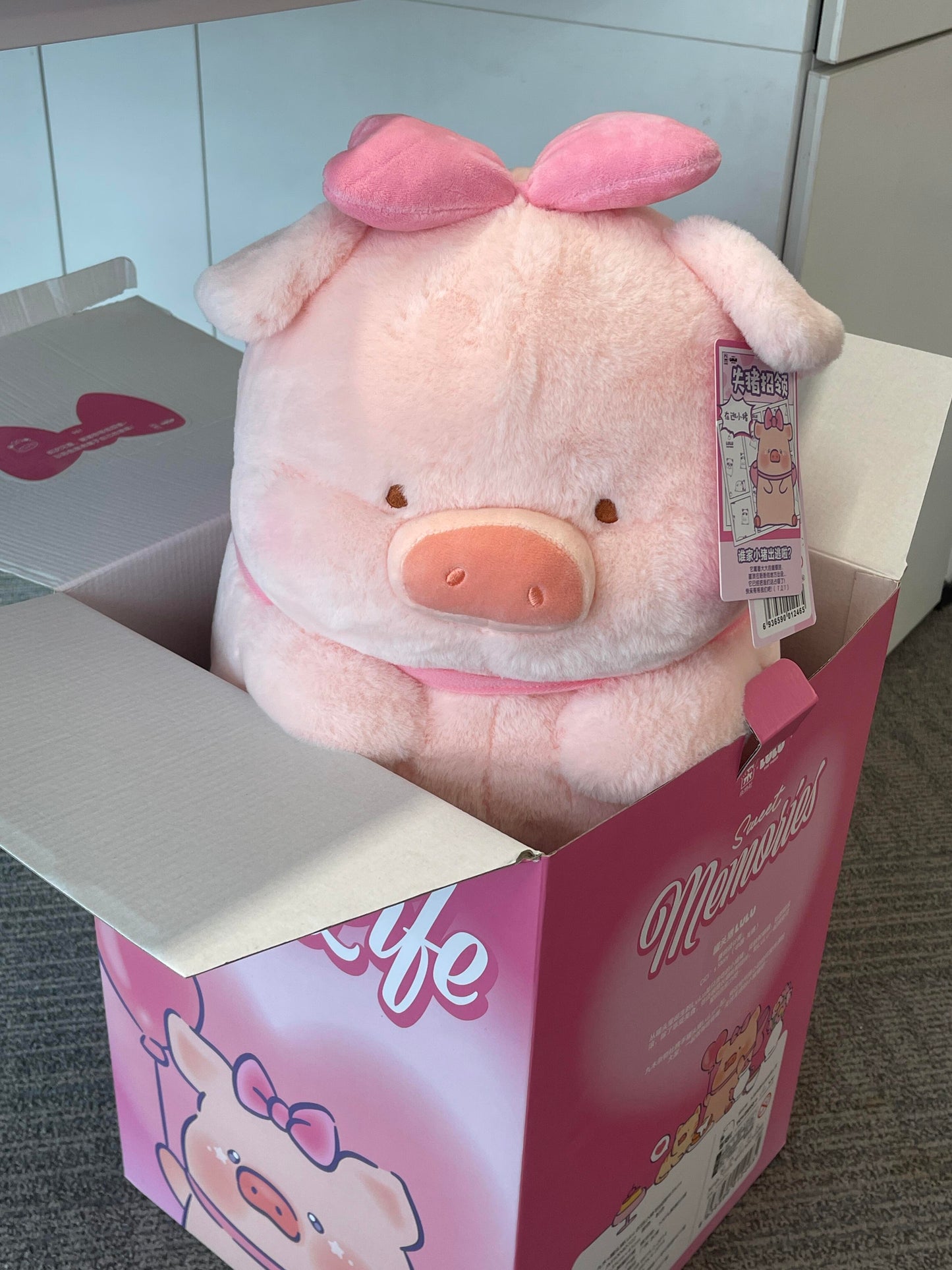 Piggy π·π
