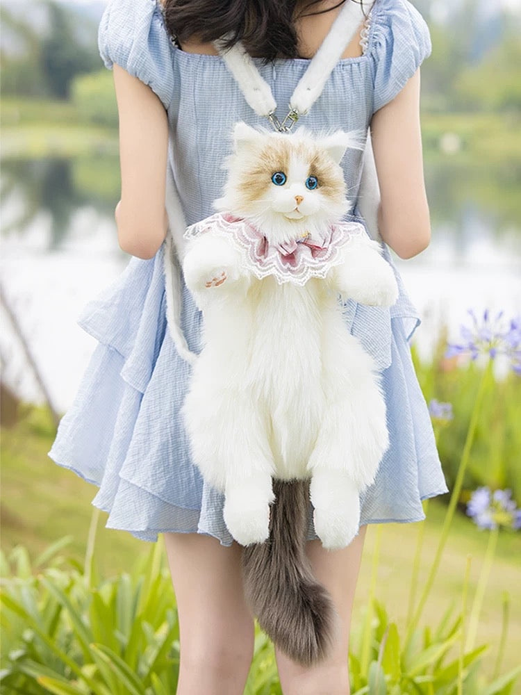 Cat bag π
