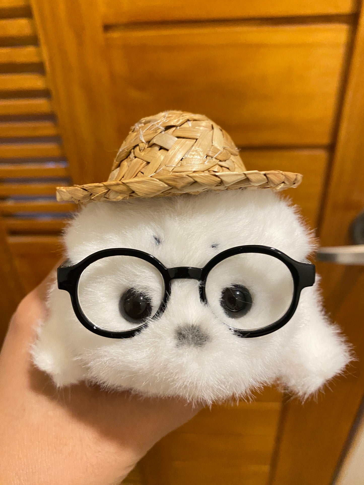 Mini seals 🦭🩶🤍