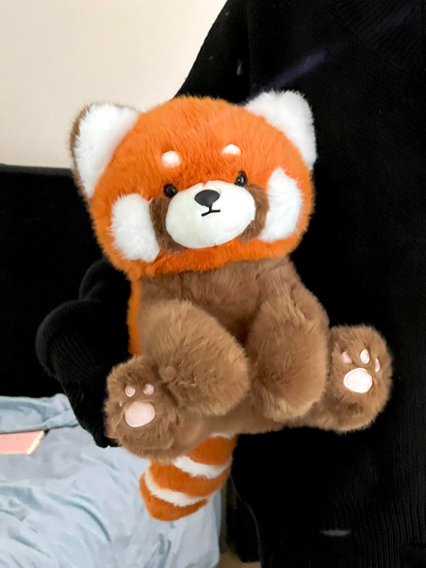 Red panda