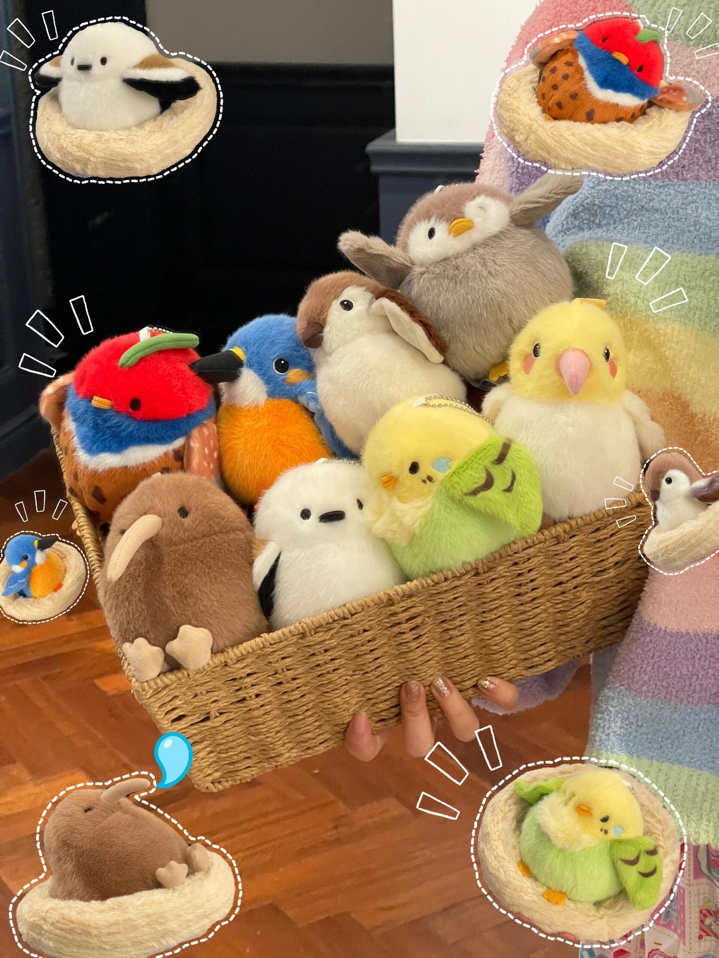 Including bird dolls🦜🦆🐤
