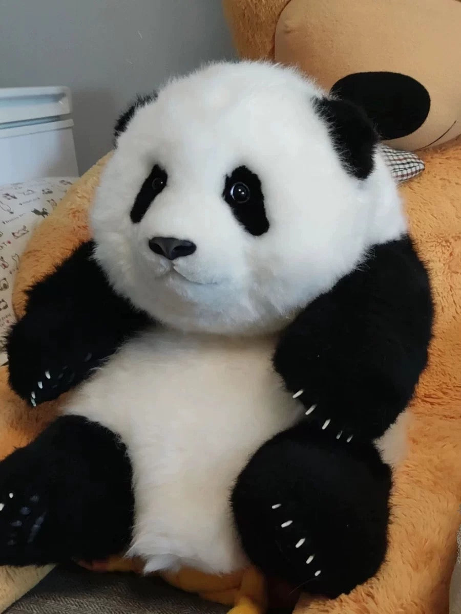 Realistic panda🐼