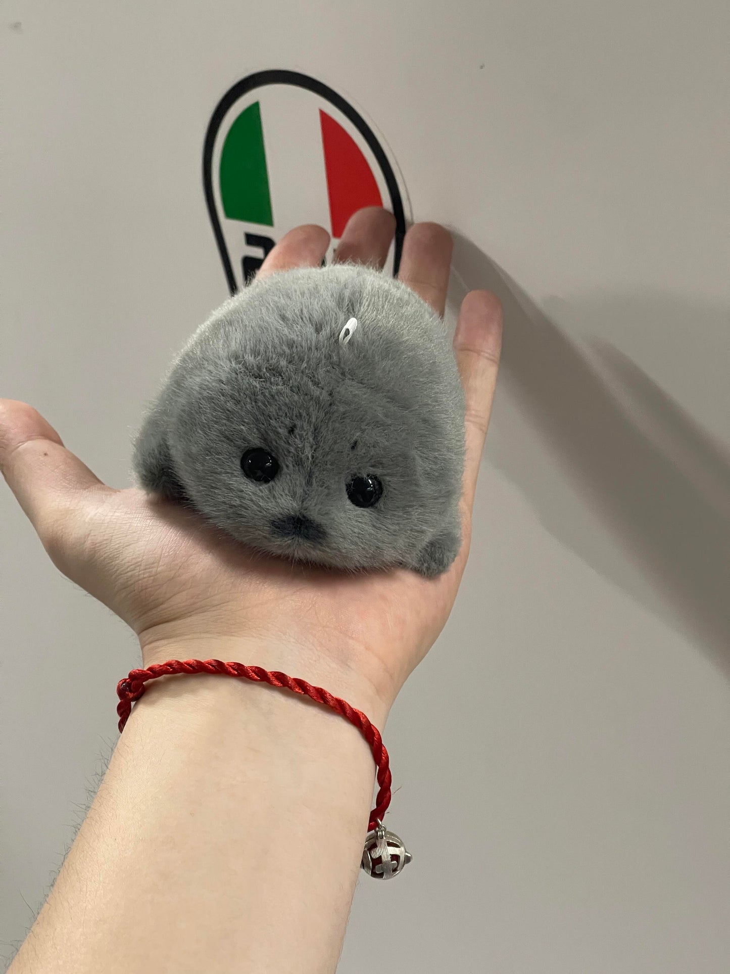 Mini seals 🦭🩶🤍