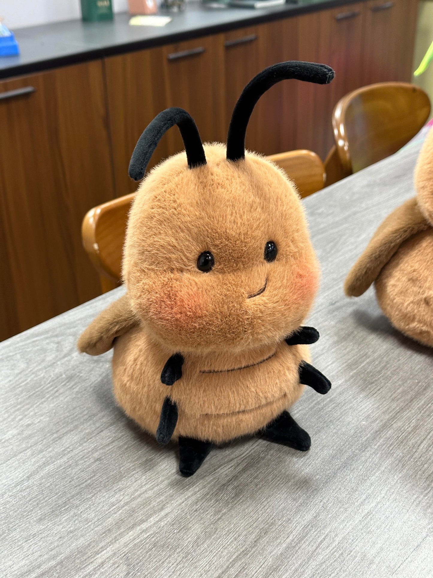 Cockroach🪳