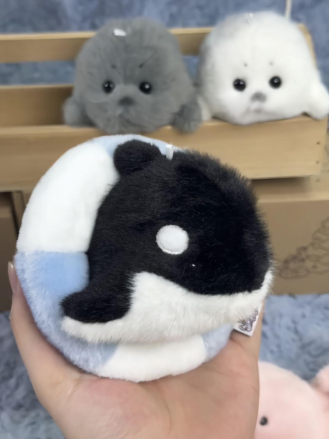 Mini seals 🦭🩶🤍