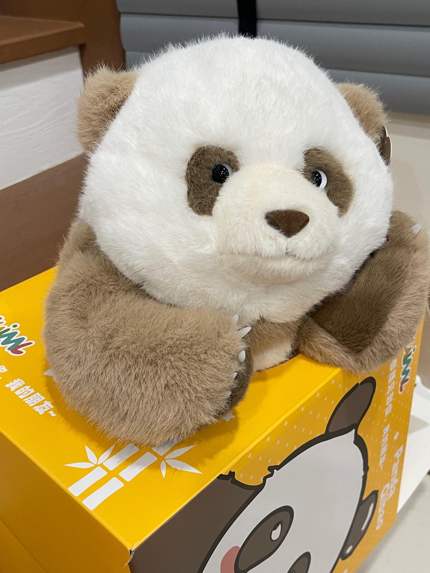 🤎Brown panda 🐼