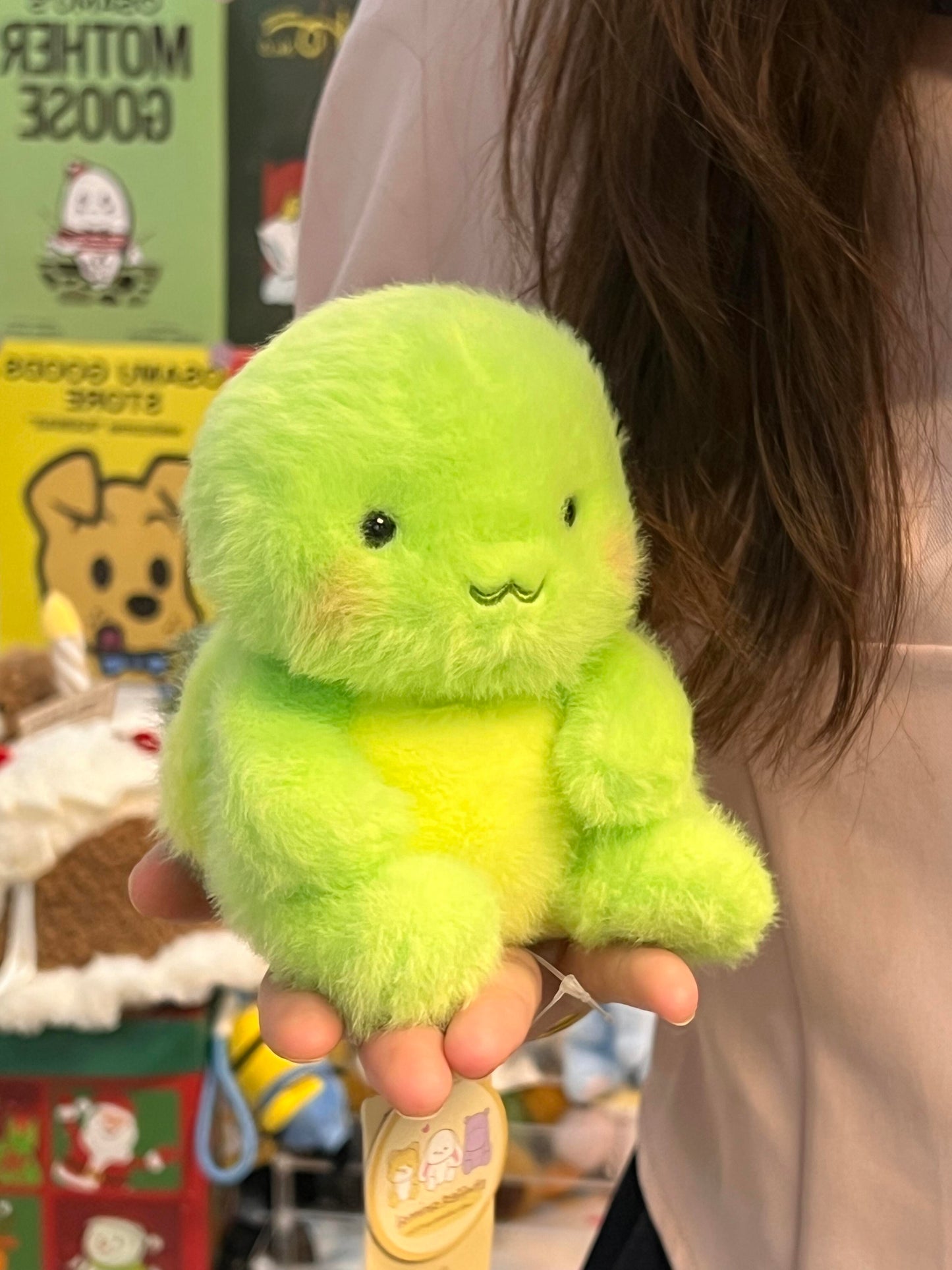 Turtle🐢