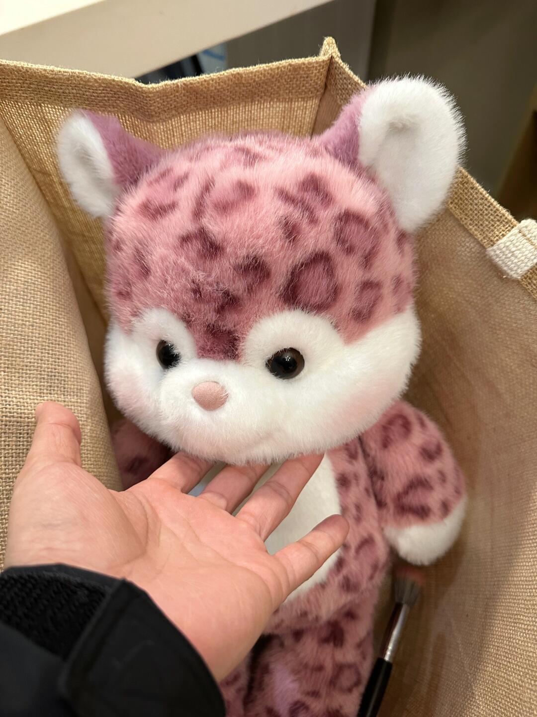 Rabbit & Leopard