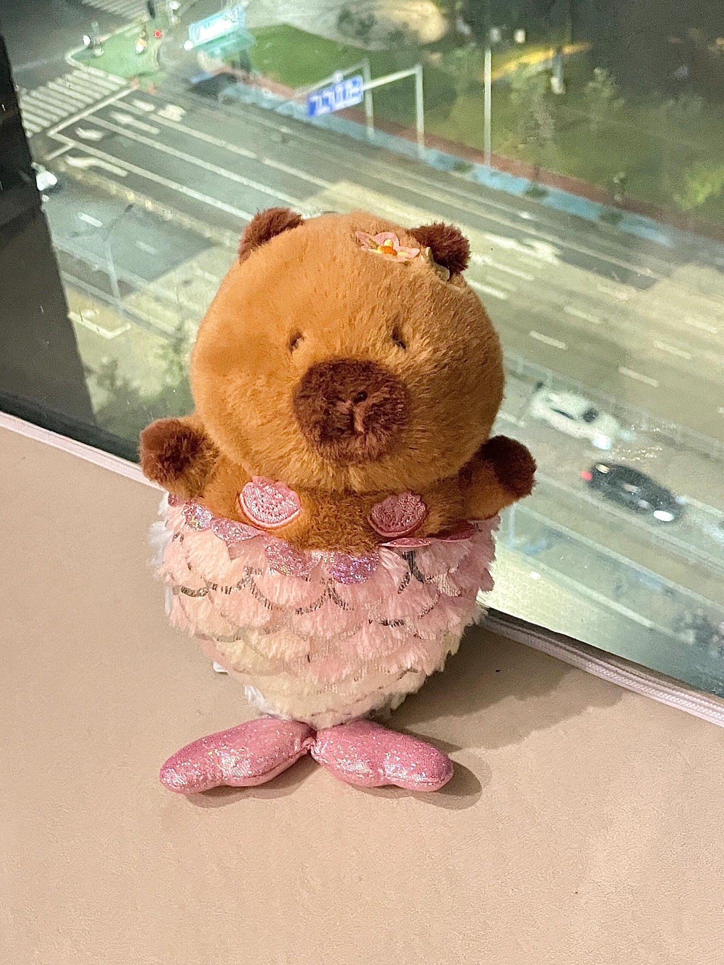 Capybara at the sea๐๐ด