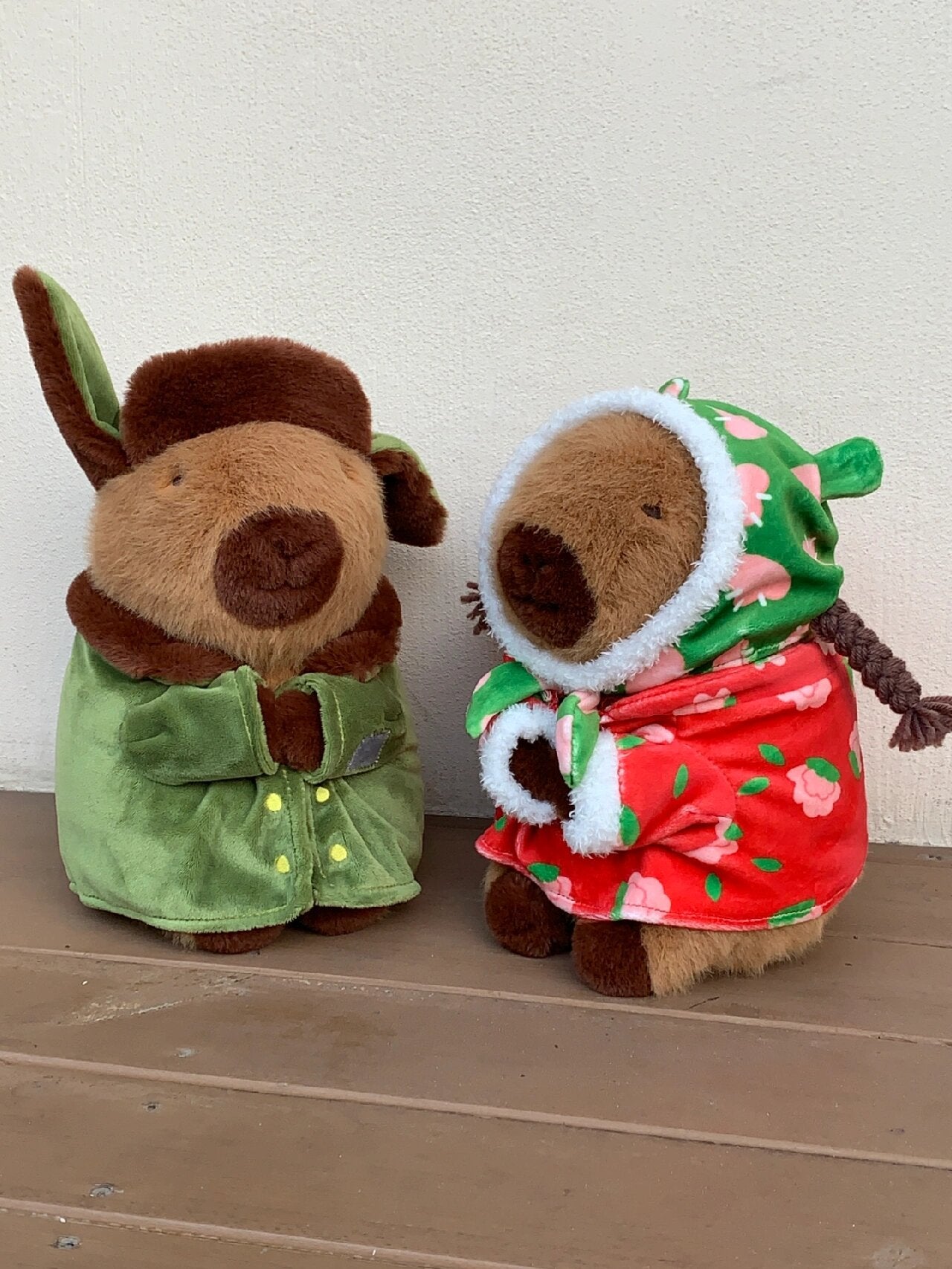 Army Coat Capybara & Girlfriend