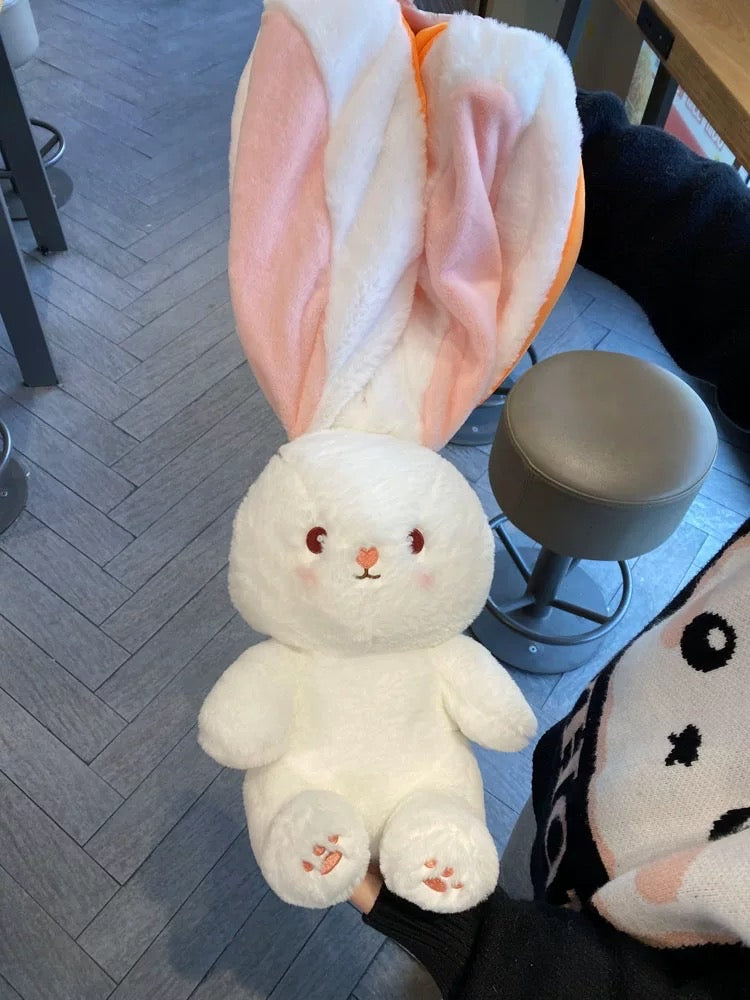 Rabbit in fruitπ°π₯π