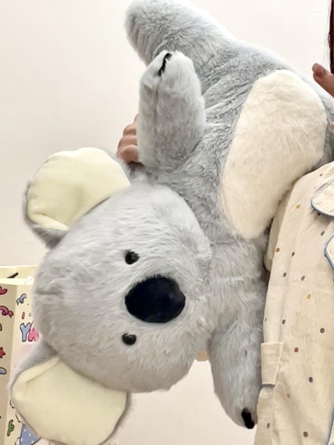 Koala π¨