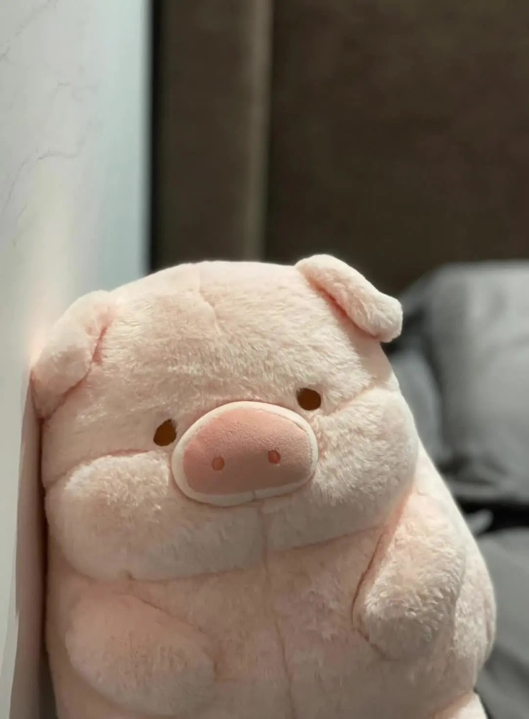 Pig π·π½π