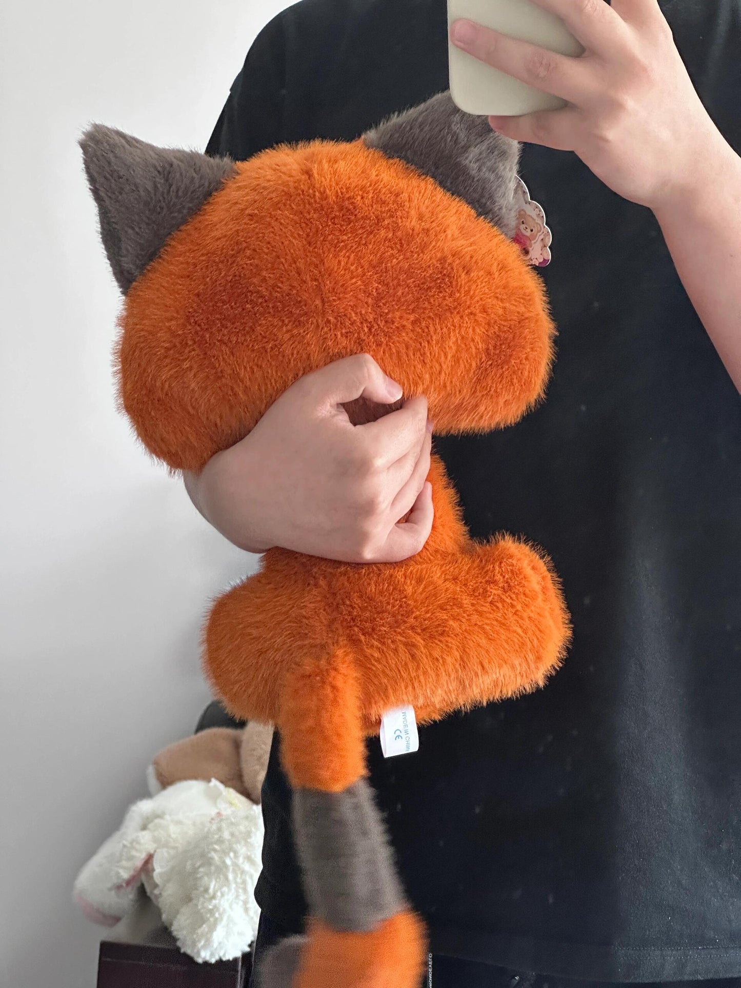 Angry Cat