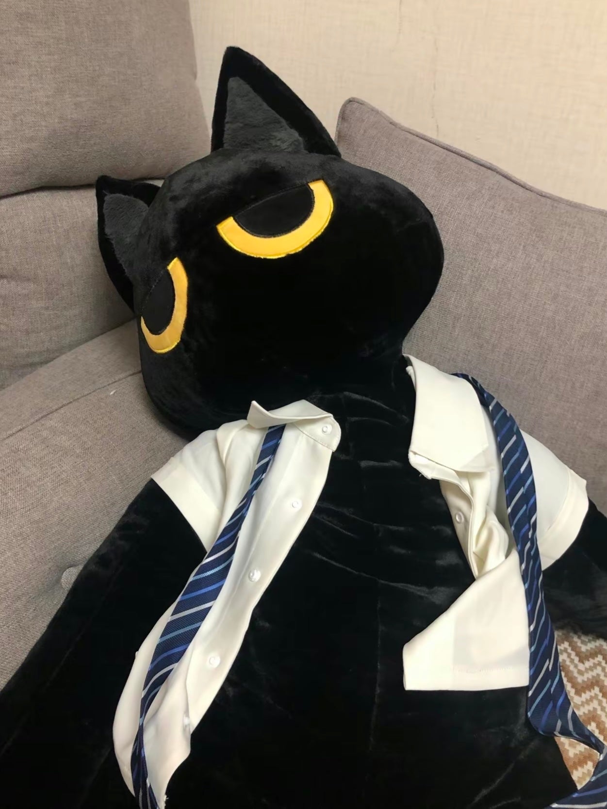 Big black cat๐โโฌ