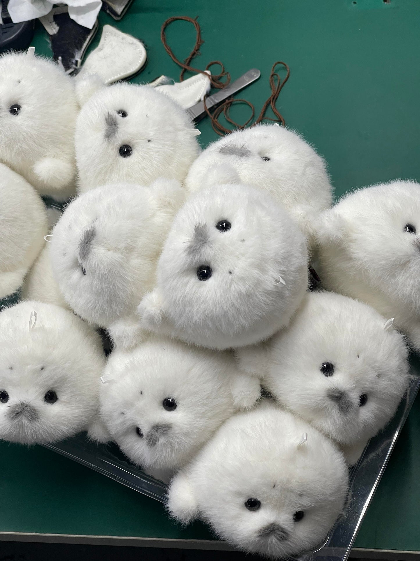 Mini seals v2🦭