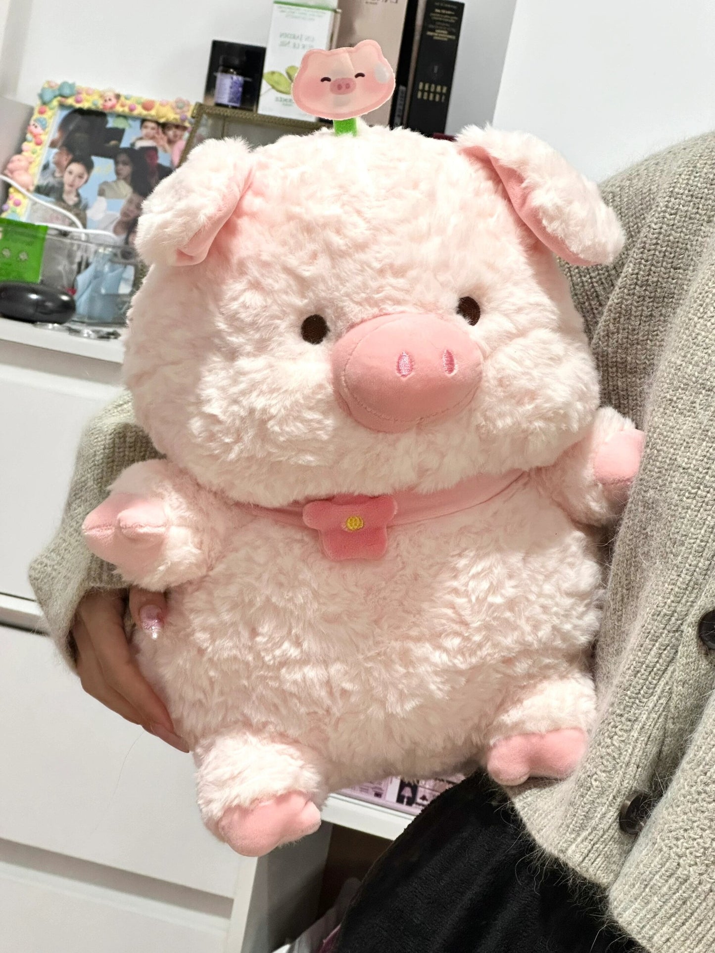Pig with collar π