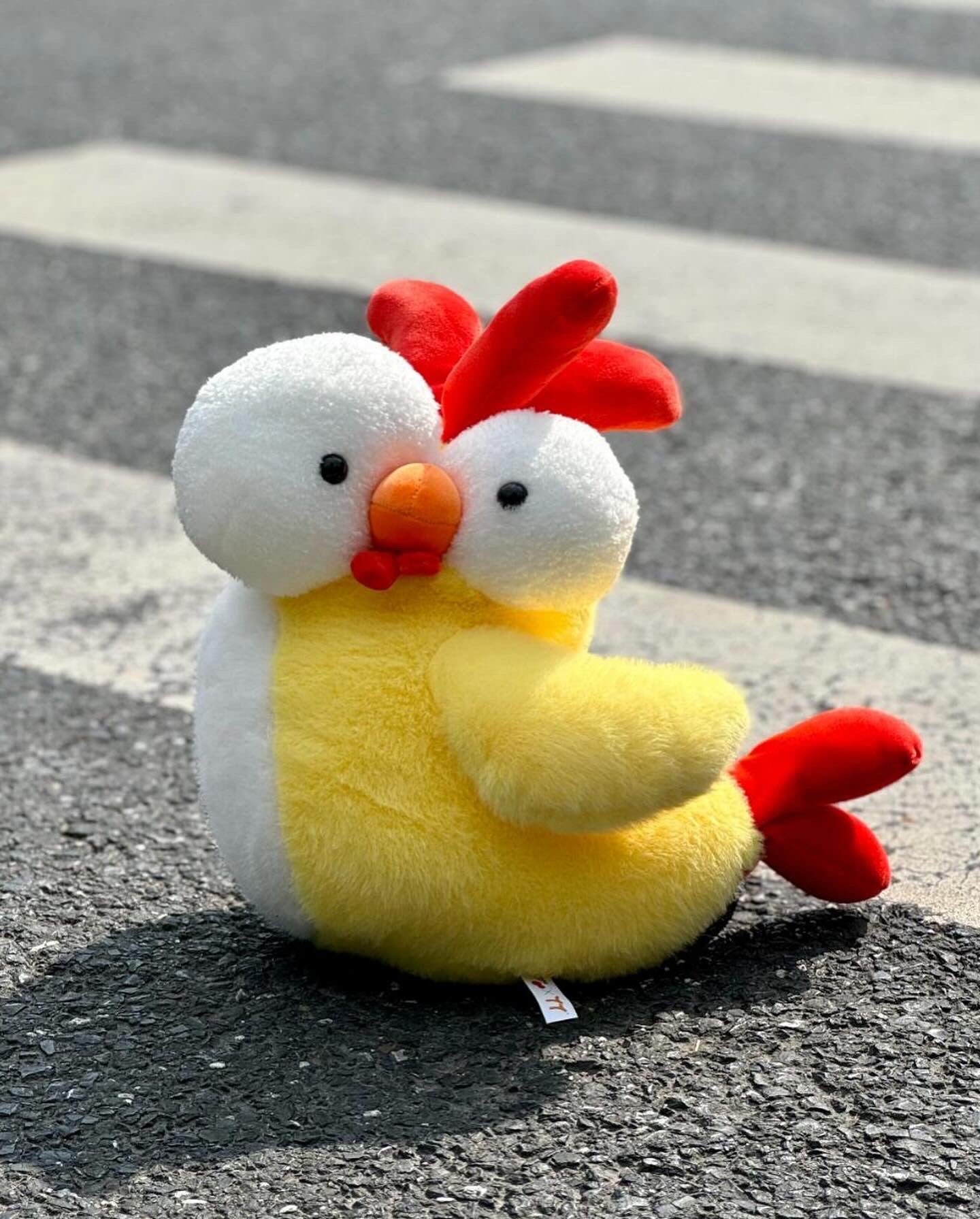 Chicken ππππππ