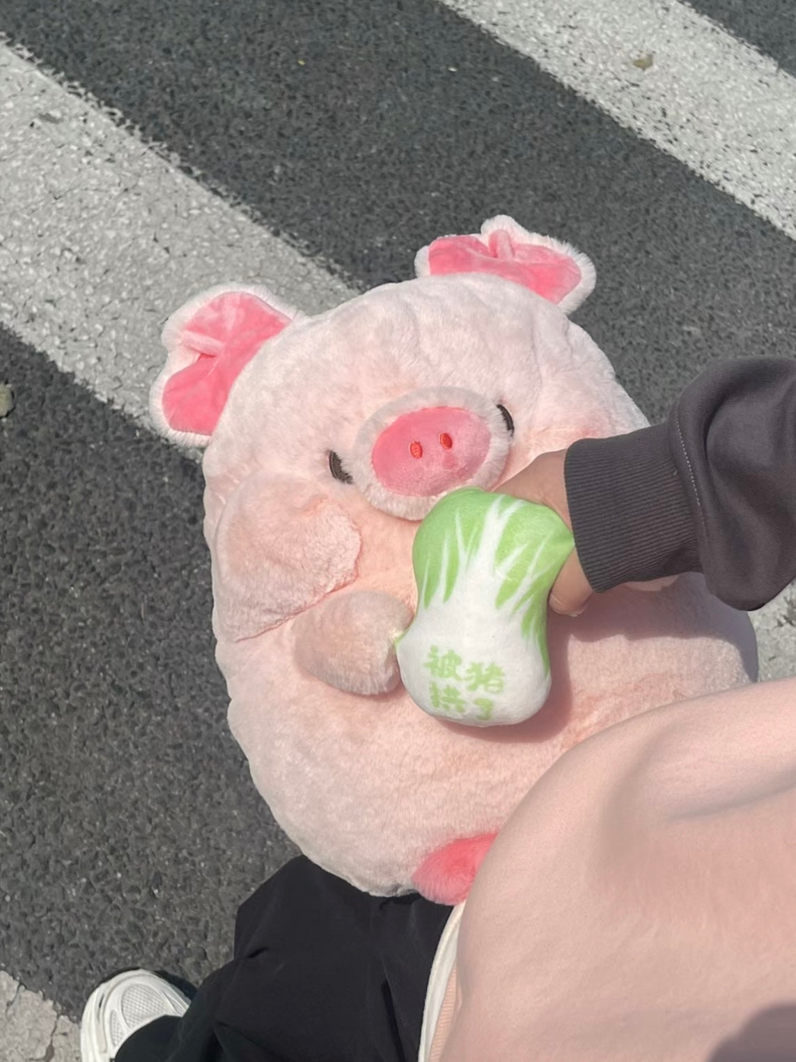 ๐ฝPig๐ฅฌ and ๐ถDog๐