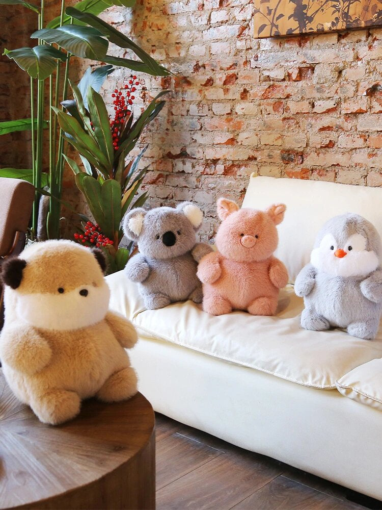 Collection of cute animals๐จ๐ผ๐ถ๐ท๐ง