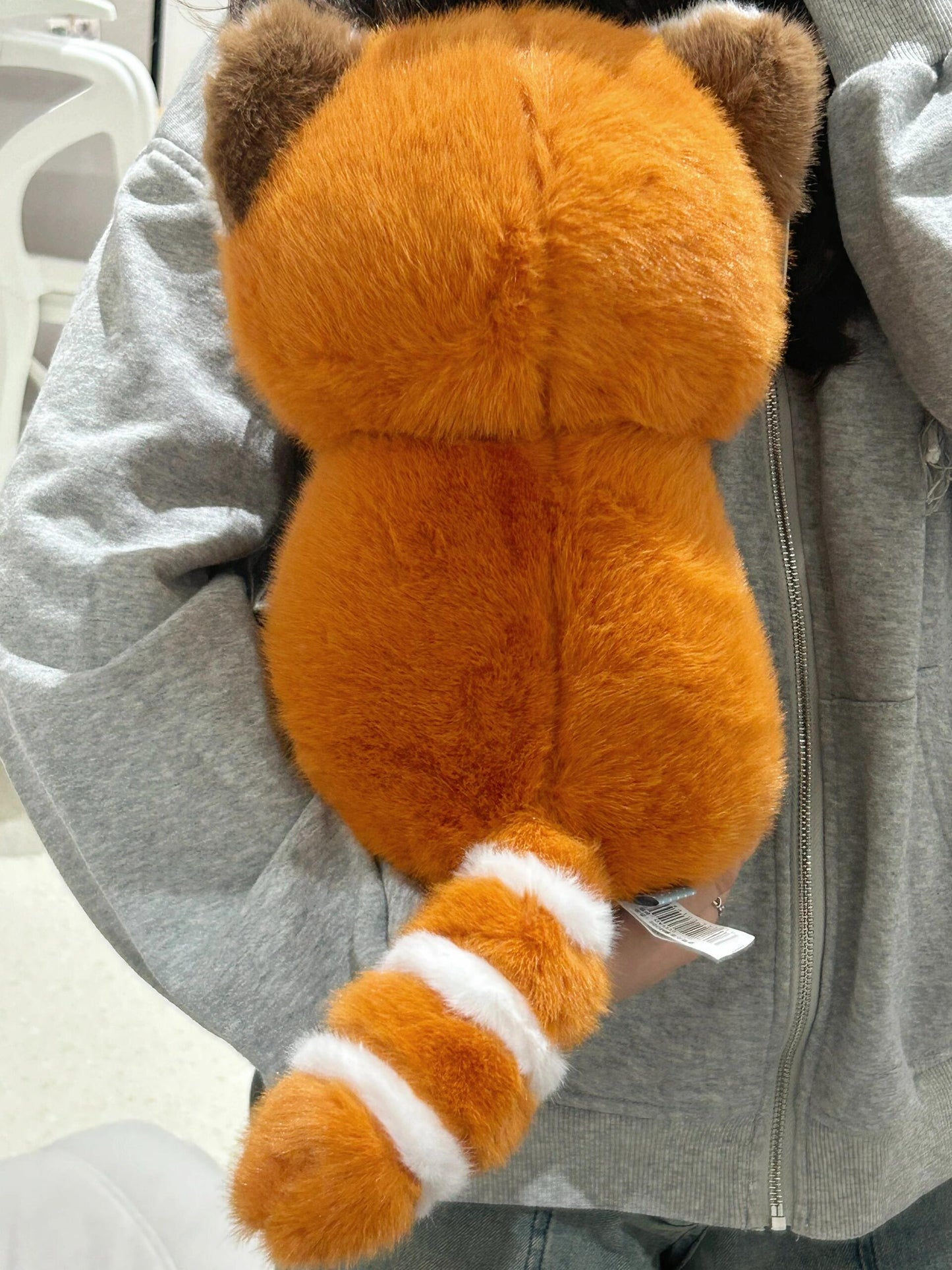 Red panda