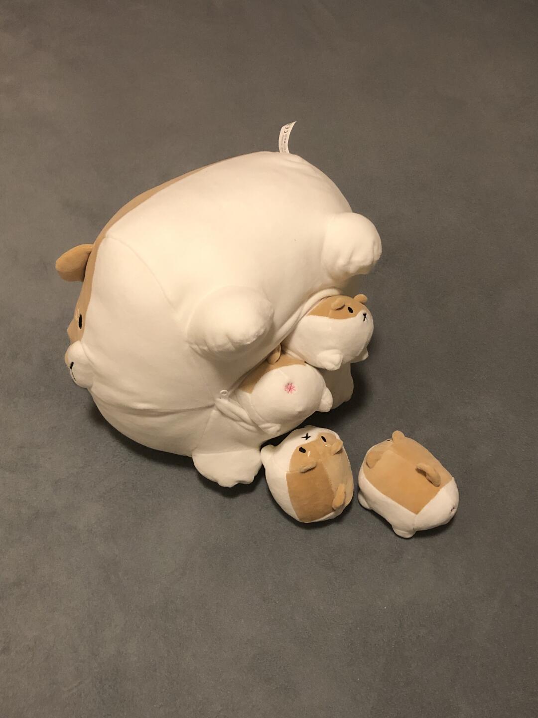 Mother Shiba and her baby