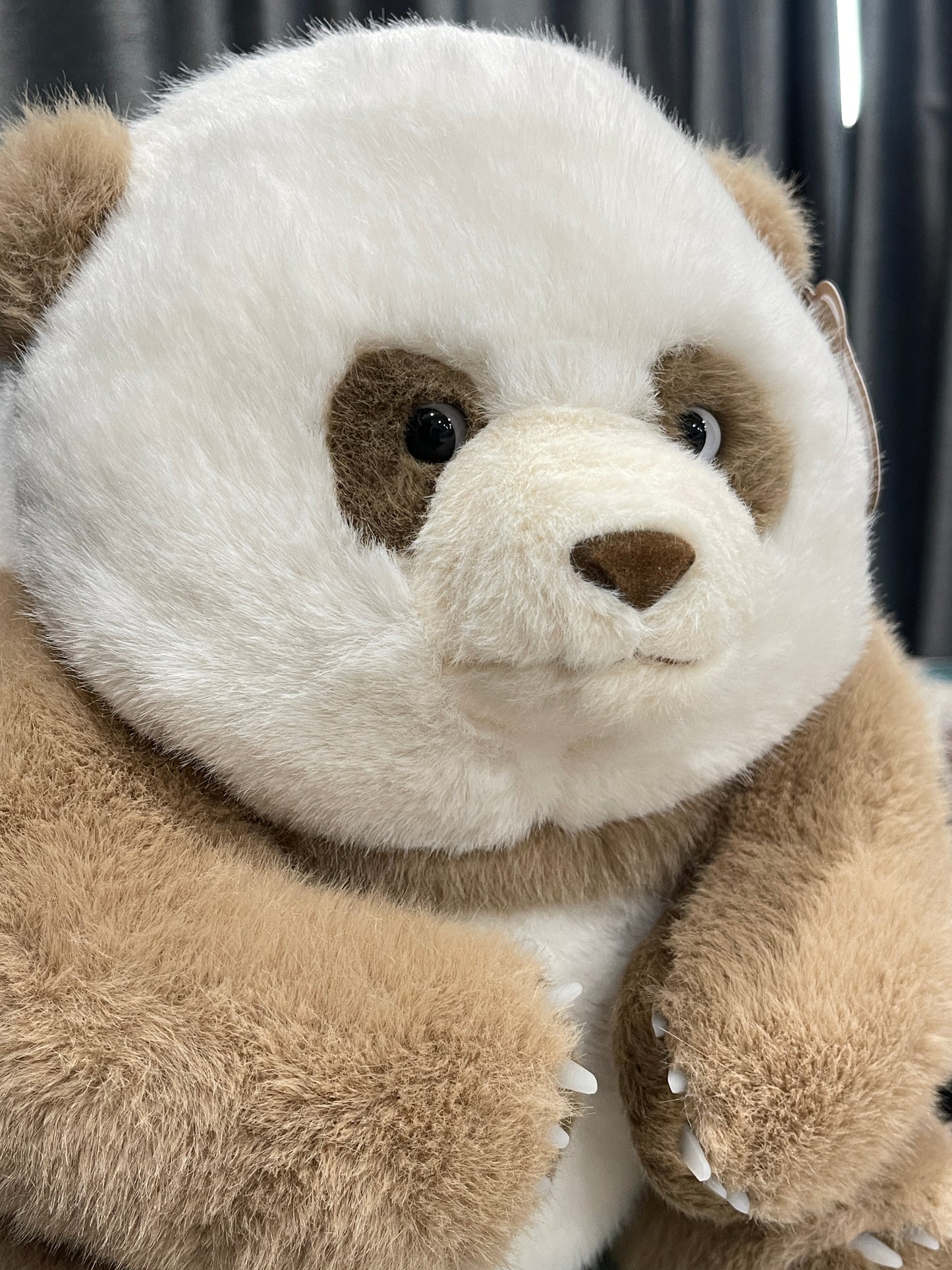 🤎Brown panda 🐼