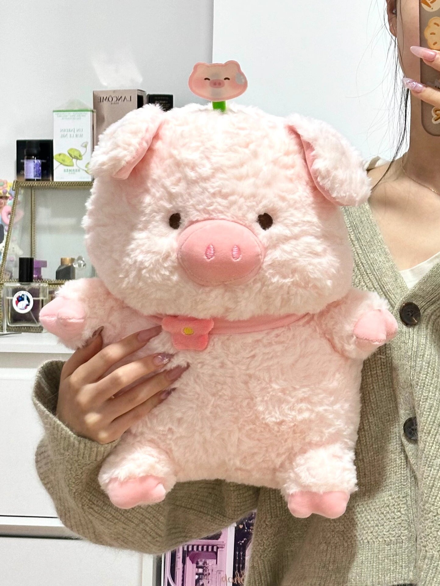 Pig with collar π