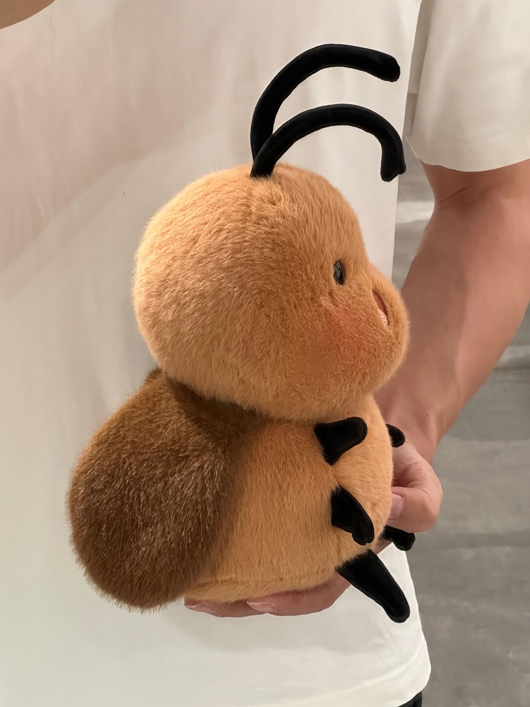 Cockroach🪳