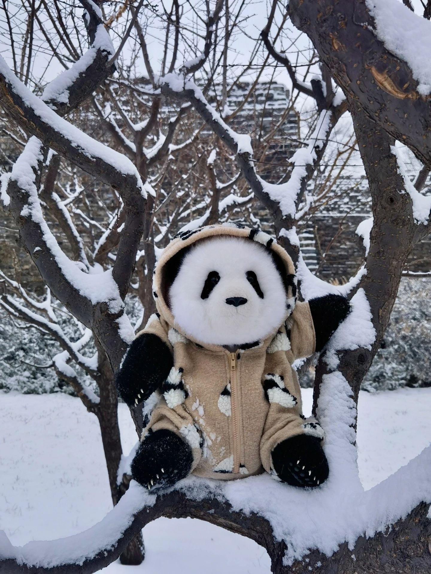 Realistic panda🐼