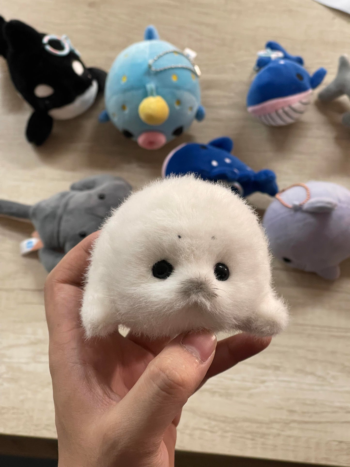 Mini seals v2🦭