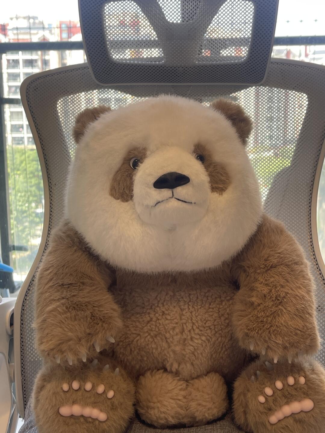 Brown panda🐻❄️🐻