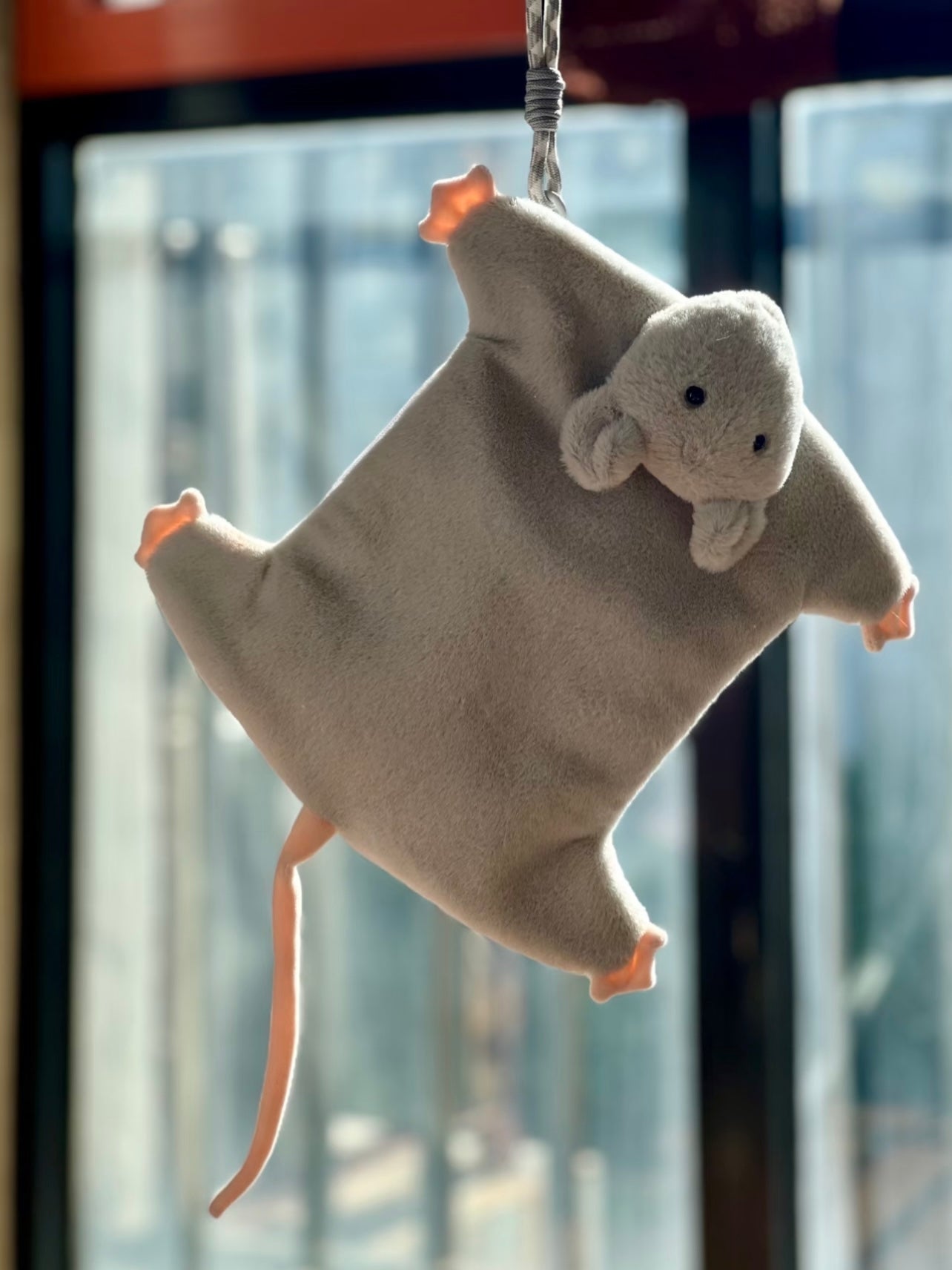 Mouse bag