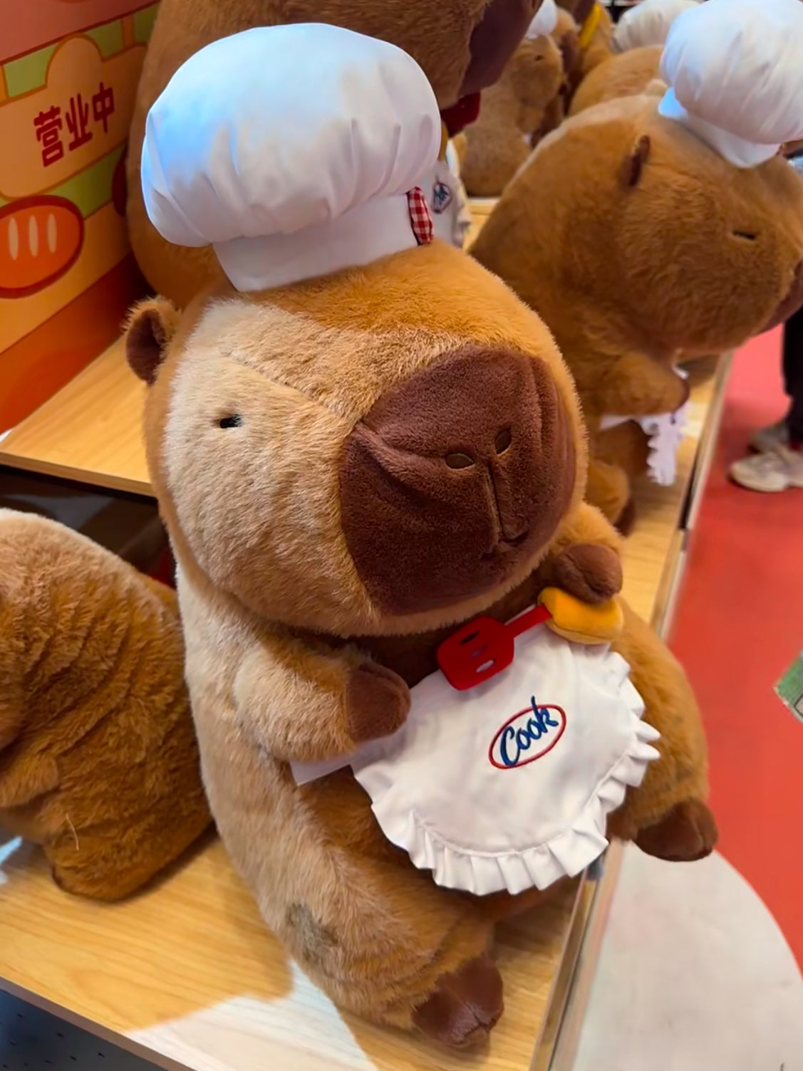 Capybara Chef🧑🏻🍳