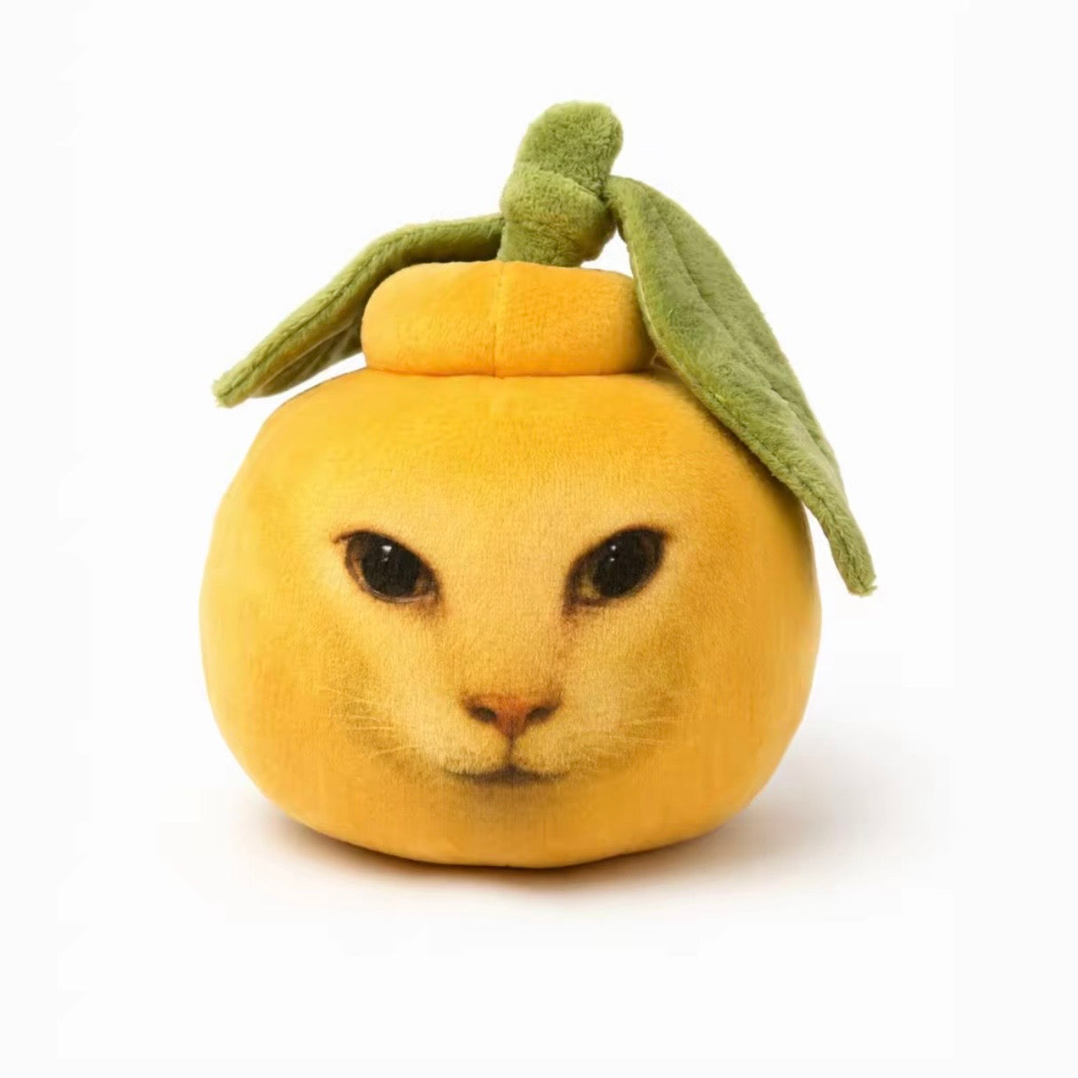 Catorange Keychain