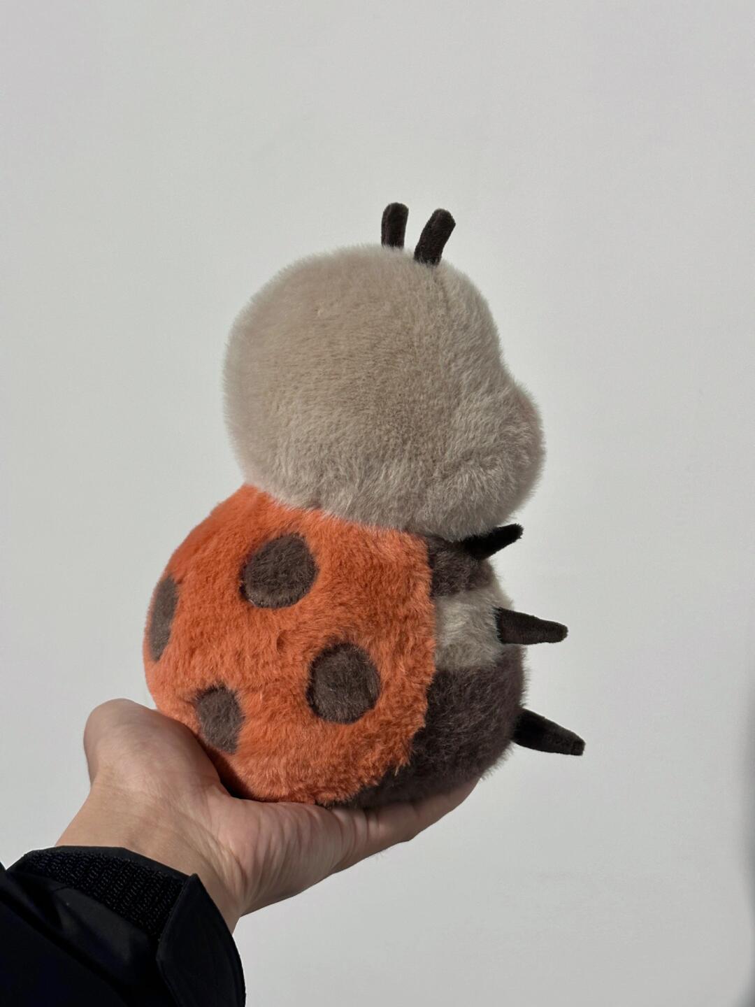 ladybug ๐
