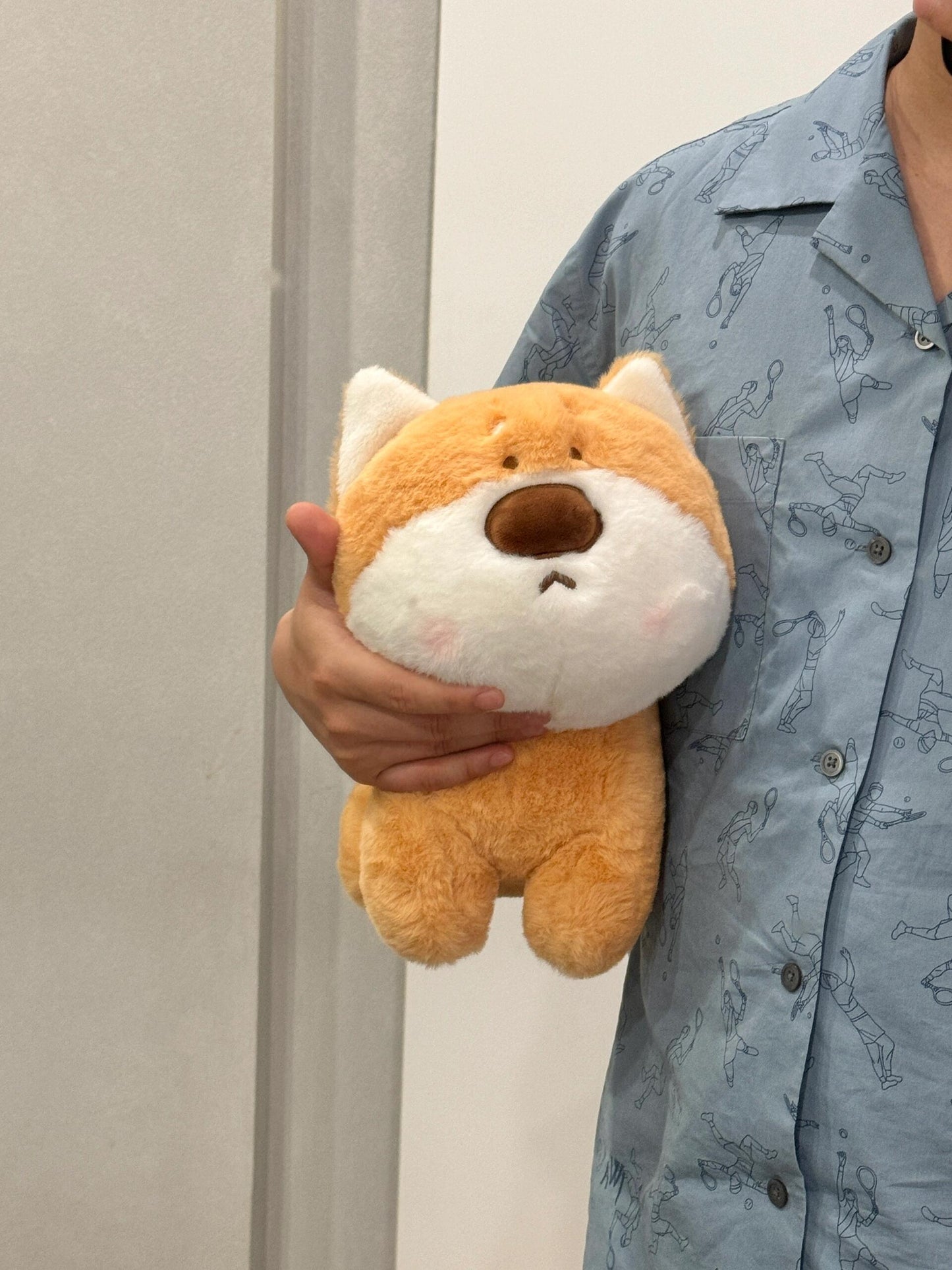 Shiba🧡