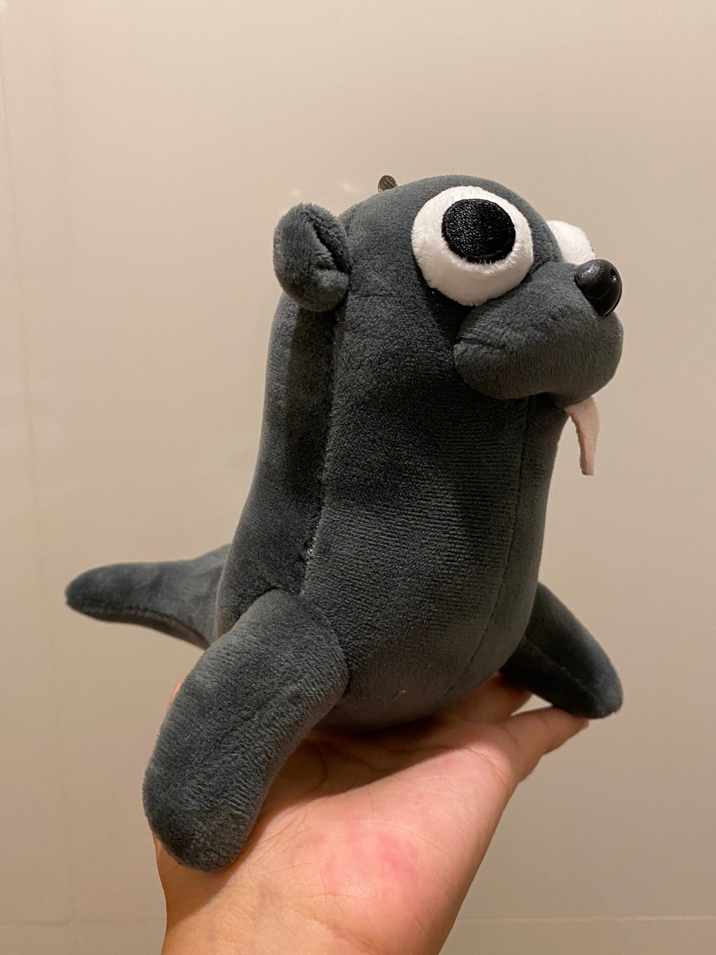 sea lion