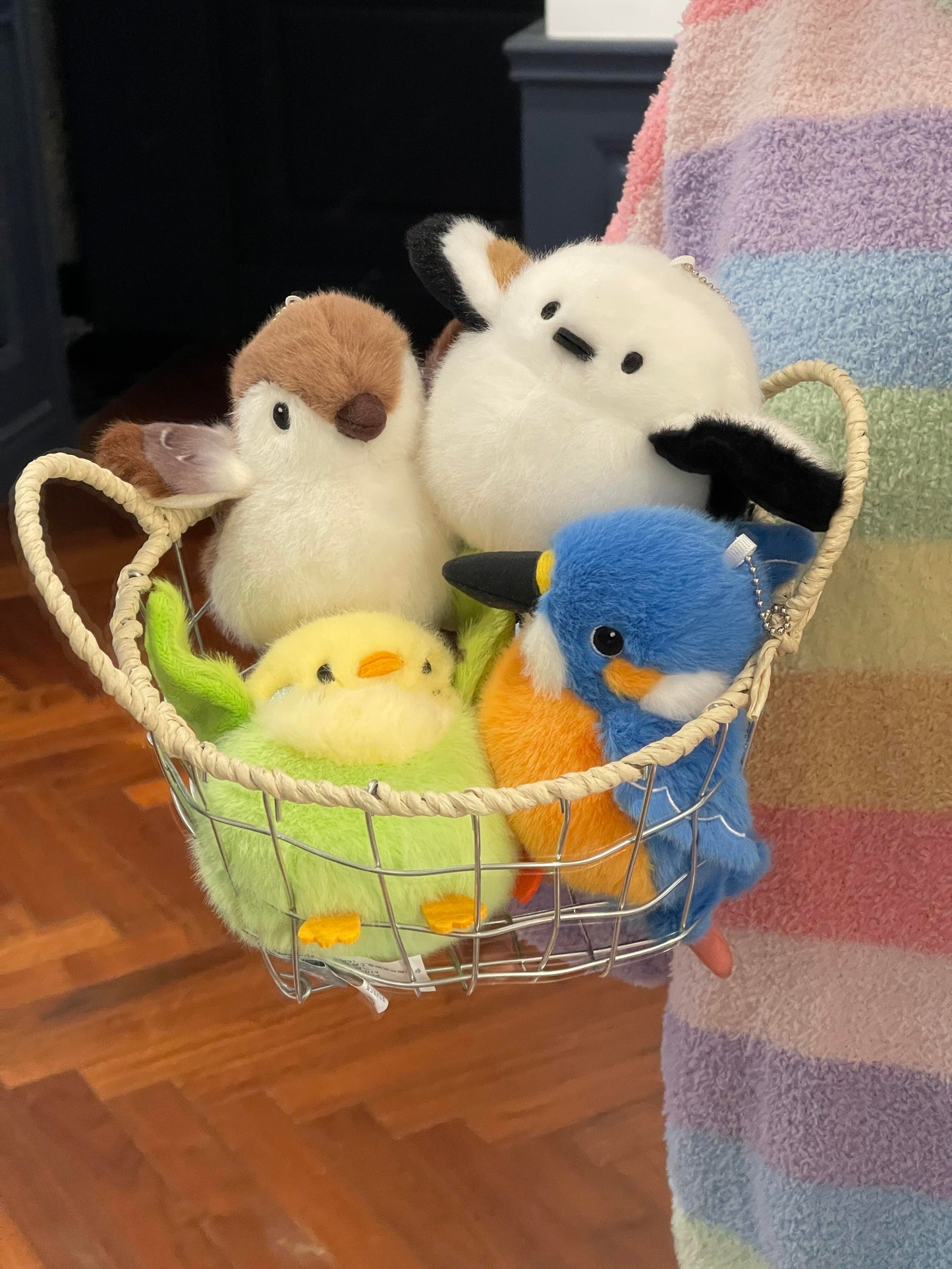 Including bird dolls🦜🦆🐤