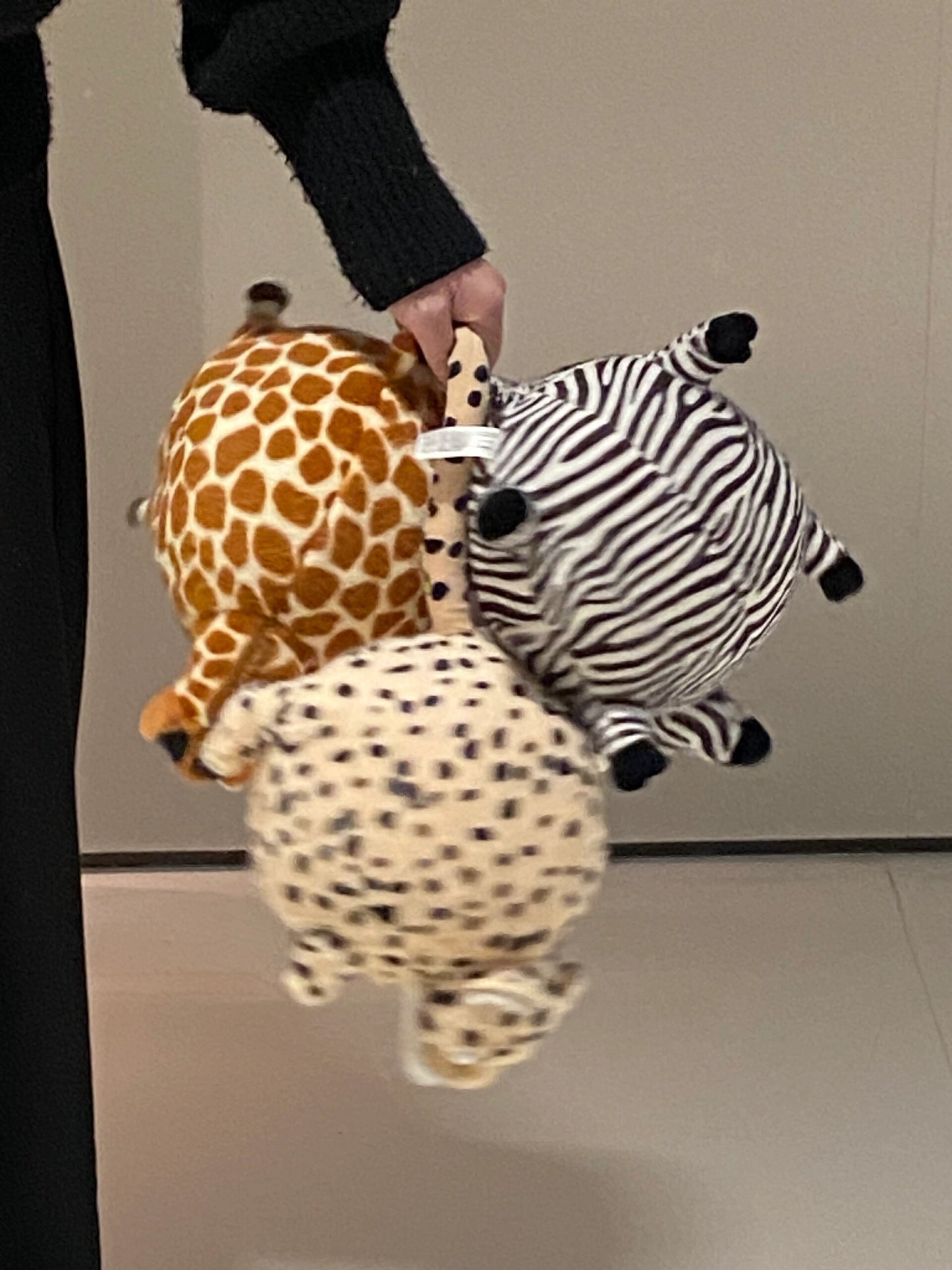 ๐Fat animal๐ฆ๐ฆ๐