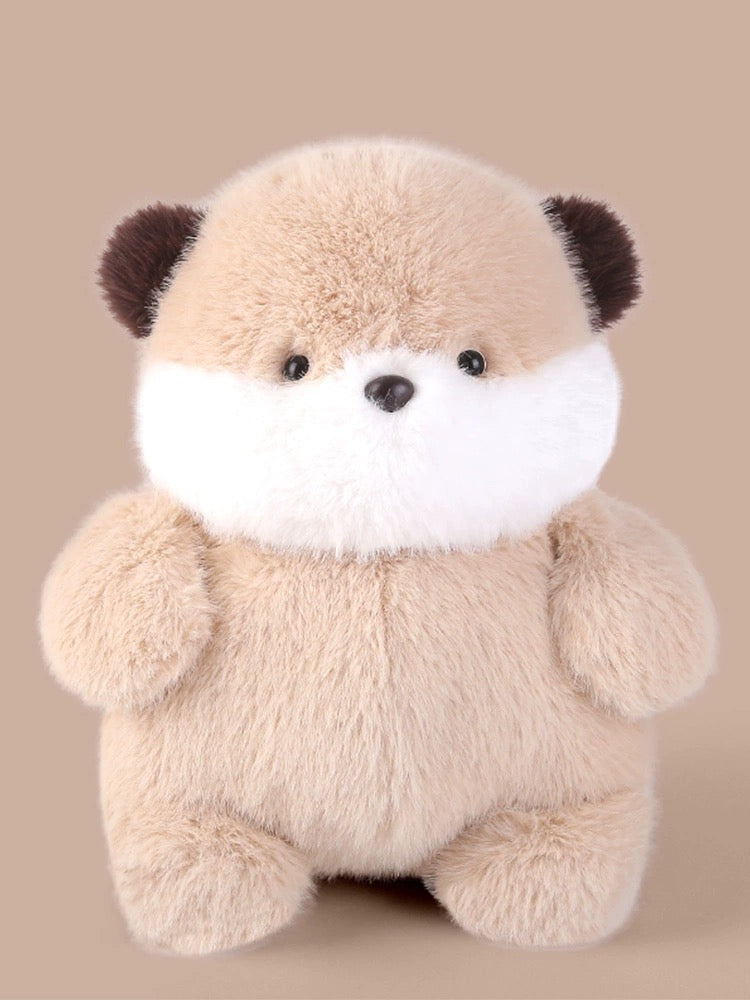 Collection of cute animals๐จ๐ผ๐ถ๐ท๐ง