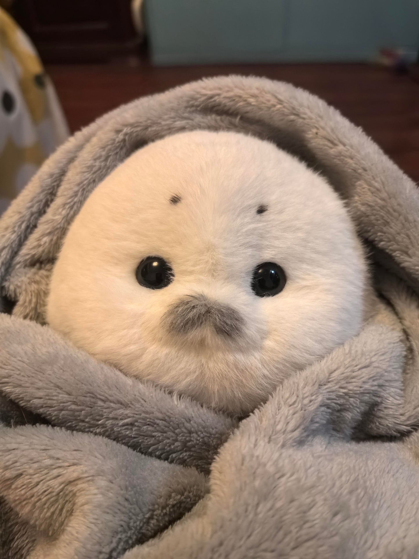 seals🦭