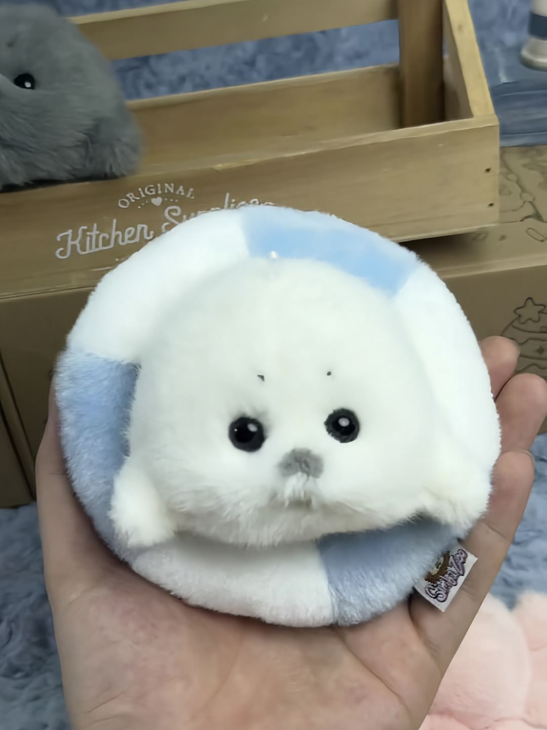 Mini seals 🦭🩶🤍