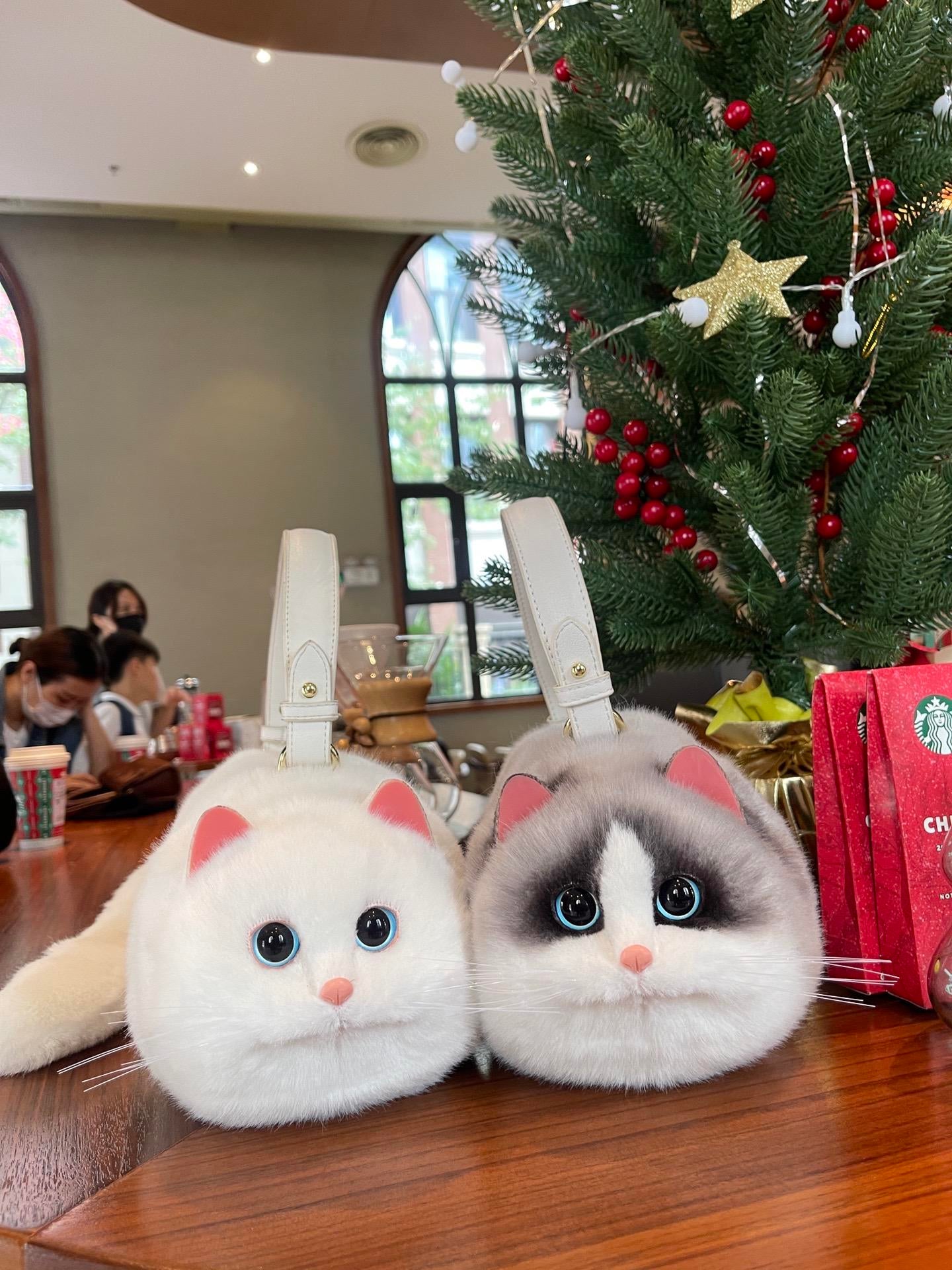 Realistic cat bagπββ¬ππ±π»πΉπ½