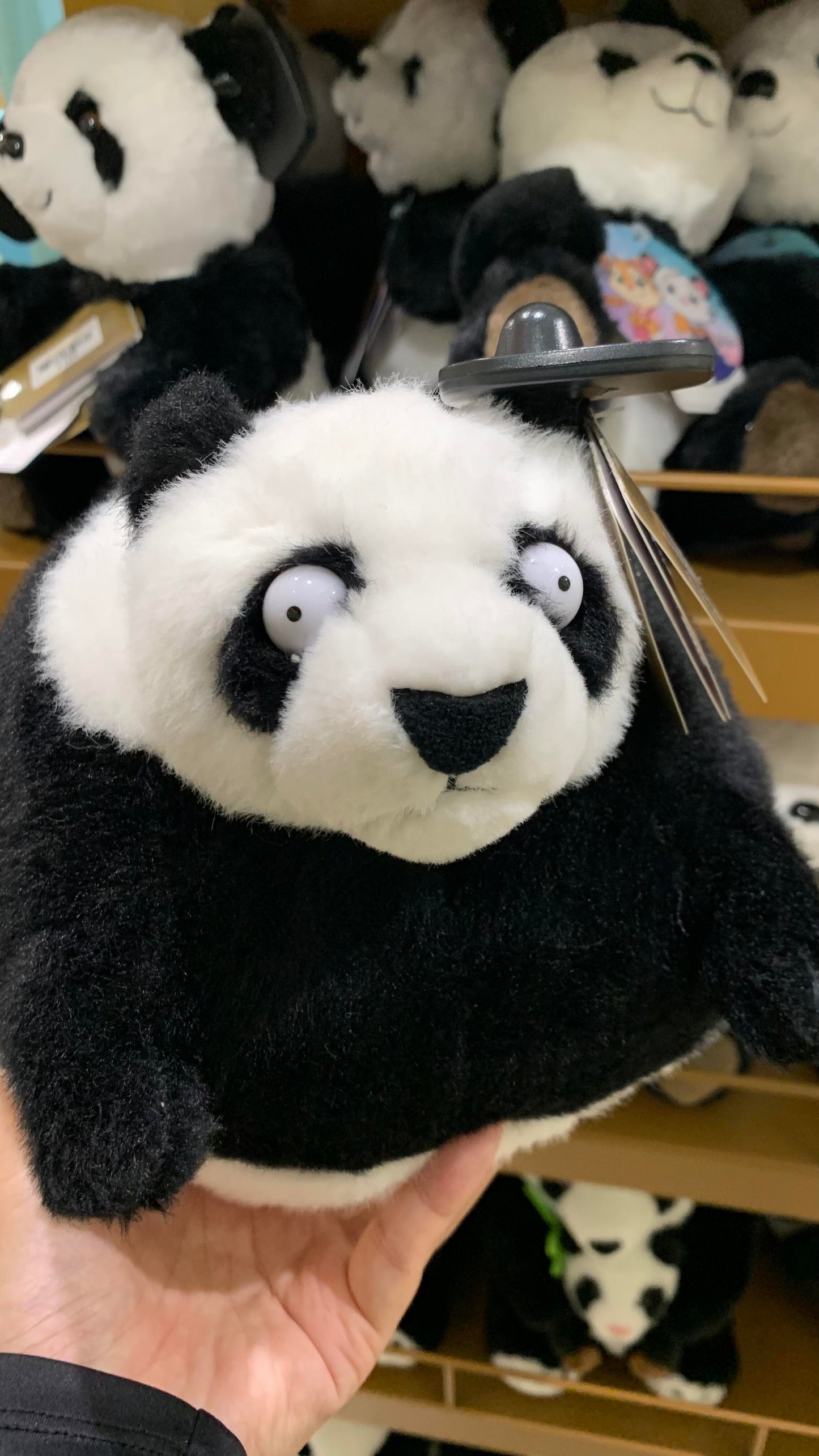 Panda ๐ผ๐ผ๐ผ