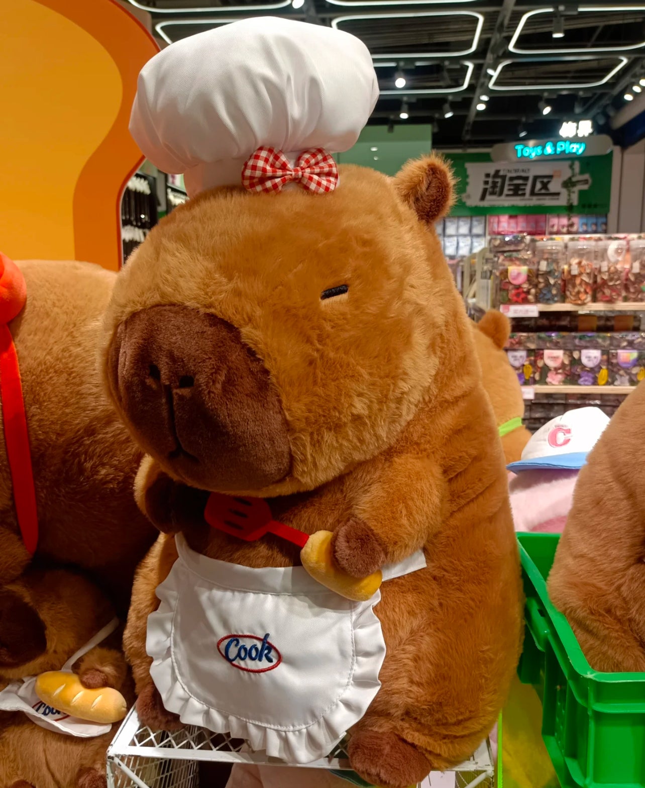 Capybara Chef🧑🏻🍳