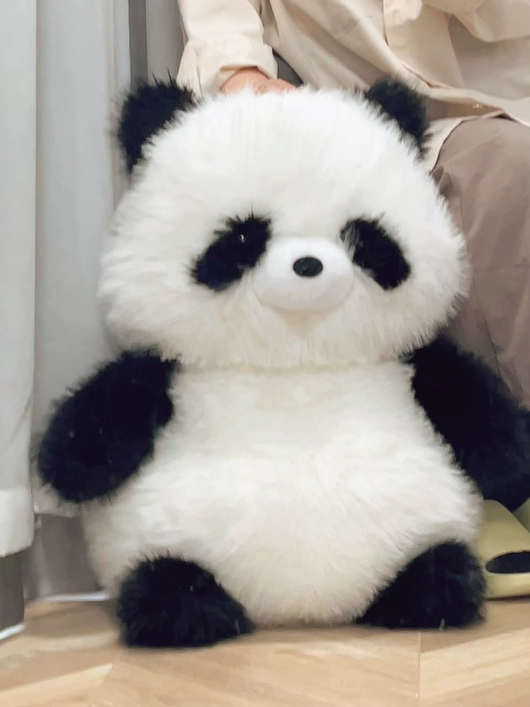 Panda πΌπ